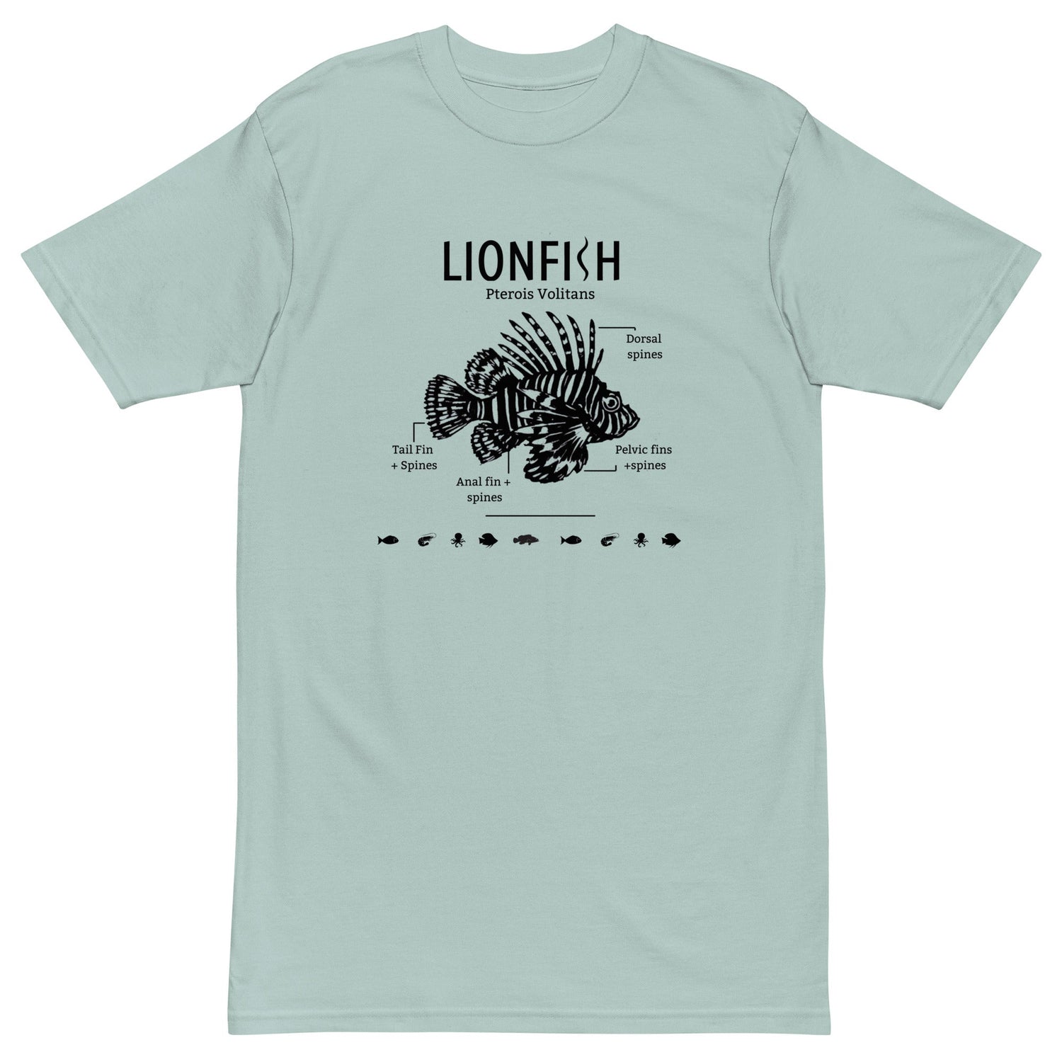 Apparel