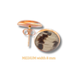 Earrings Studs Tail Gold