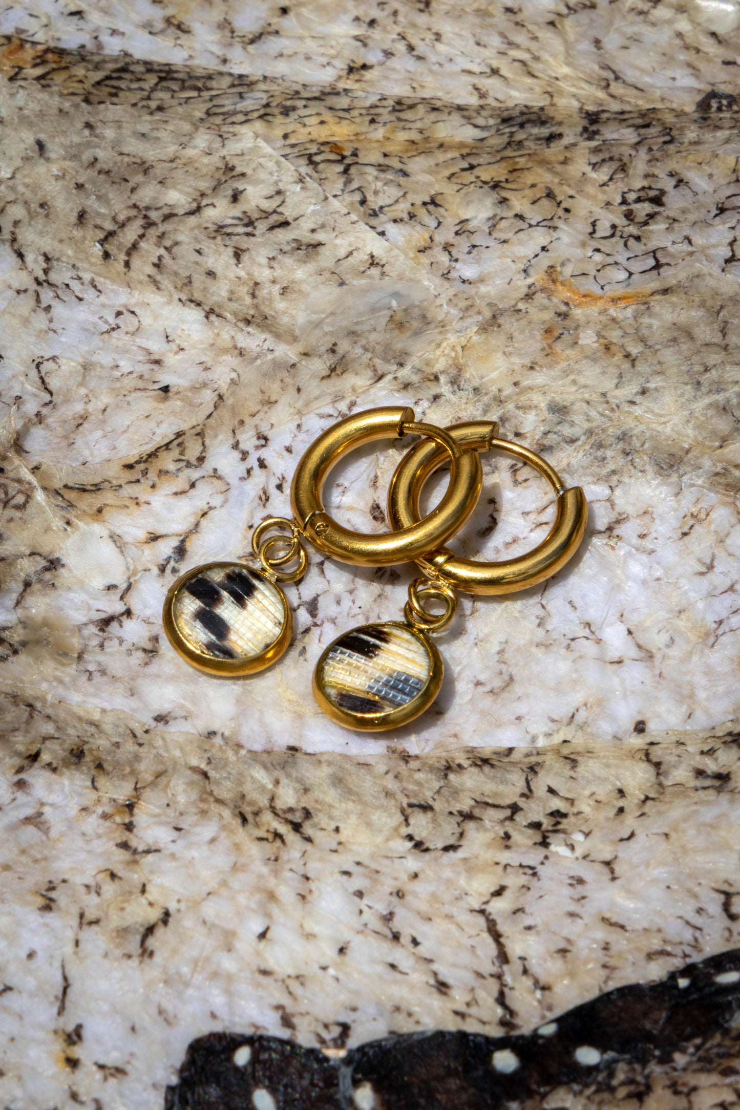 Earrings Hoops Lionfish Tail