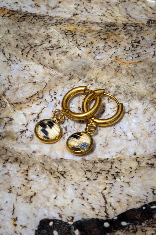 Earrings Hoops Lionfish Tail